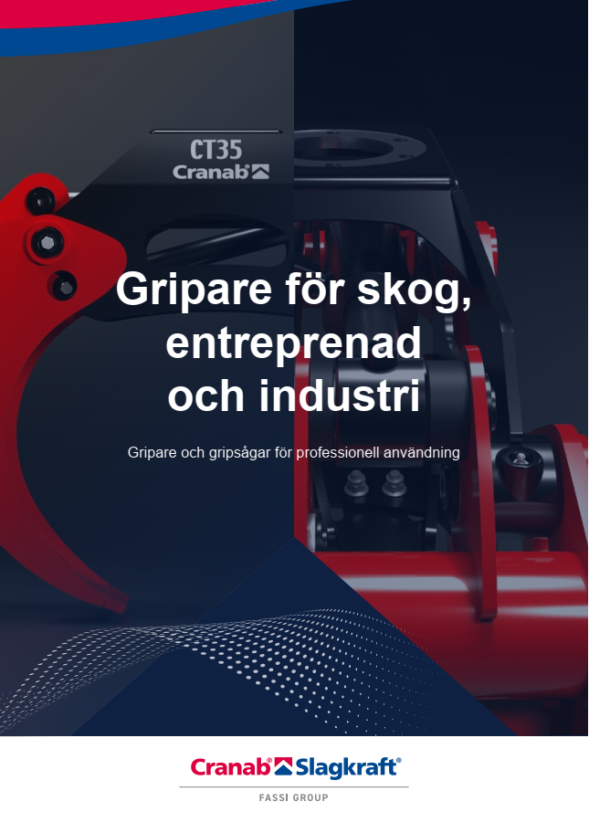 Bild FC3B6rsta sida SV